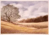 Darrell Duchene, L'Eveil #1/100, colour etching on paper