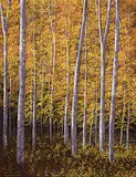 Golden Woods by Miguel Angel Guerrero, 1982, acrylic on canvas, sold Nov 2000