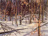 E. Brian Reid, Untitled - Ottawa Winter Woods #31/325, colour photo-lithograph on paper