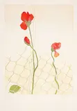 Charlotte Reine, Accroche Fleurs #95/120, colour etching on paper
