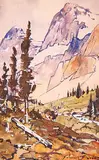 Belmore Browne, Molar Pass