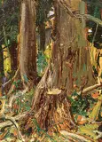 Arthur Lismer, Untitled - Forest Floor, 1960, oil on plywood