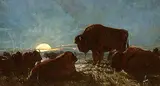 Thomas Mower Martin, Untitled - Buffalo at Moonrise, oil on canvas board