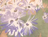 Walter J. Phillips, Cineraria #95, 1928, colour wood block on paper