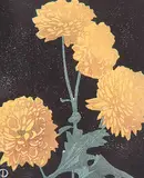 Walter J. Phillips, Pom Poms, 1928, colour wood block on paper