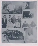 Carl Beam, Family #A/P, lithograph on paper