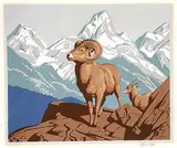 A. J. Casson, Bighorn Sheep