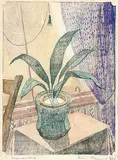Ian Fleming, Aspidistra