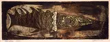 Sarah Gersovitz, Kingfish #16/20, colour etching on paper