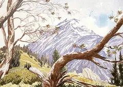 Jim Millard, Mt. Aylmer from the Fire Lookout Site, 1995, watercolour on paper