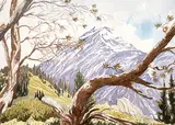 Jim Millard, Mt. Aylmer from the Fire Lookout Site, 1995, watercolour on paper