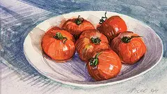 Jim Picco, Tomatoes, 1995, 1994, watercolour on paper
