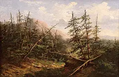 John S. Thompson, Pines in British Columbia, oil on canvas