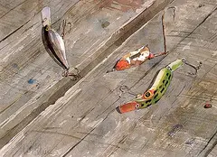Sally Wildman, Fishing Lures, watercolour on paper