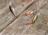 Sally Wildman, Fishing Lures, watercolour on paper