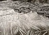 Robert Bourdeau, Ontario, Canada #12/30, 1981, gold toned silver photograph