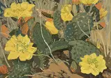 Prickly Pear Cactus, Drumheller by Illingworth Kerr, 1977, oil on canvas board, sold Nov 1999