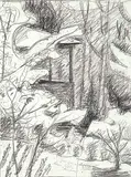 John Goodwin Lyman, Untitled - Study for a Forest Scene, charcoal on paper