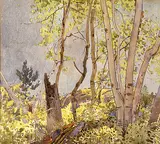 Walter J. Phillips, The Edge of the Woods, Muskoka