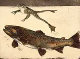 Jack Lee Cowin, Madison Meadows [Western Trout Series] #14/75