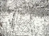 Edward William Godwin, Bone Creek #12/50