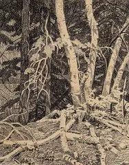 Ernest Friedrich Lindner, Untitled - Forest Interior, 1938, graphite on paper