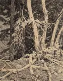 Ernest Friedrich Lindner, Untitled - Forest Interior