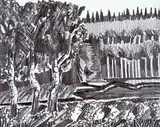 David Pugh, Untitled - Winchell in Summer