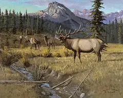 Untitled - Bugling Elk in a Mountain Setting by Elmer Schock, oil on canvas, sold Nov 1999
