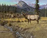 Elmer Schock, Untitled - Bugling Elk in a Mountain Setting, oil on canvas