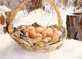 Andie C. Wicherts, Christie's Eggs in January, 1994, watercolour on paper