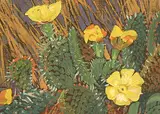 Prickly Pear Cactus in Long Grass by Illingworth Kerr, 1981, oil on canvas board, sold May 1999