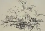 Arthur Lismer, Untitled - Footpath in a Forest, 1964, charcoal on paper