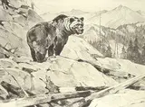 Carl Rungius, Silvertip
