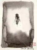 Carl Beam, Untitled - Bee, 1990, mixed media on paper