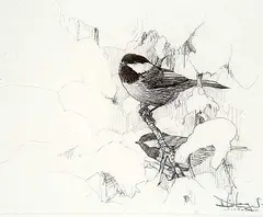 Don Li-Leger, Chickadees in Snow, 1990, graphite on paper