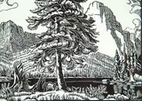 Margaret Shelton, Lower Waterfowl Lake #14/50, 1949, lino block on paper