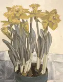 Bruno Bobak, A Pot of Daffodils