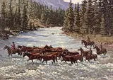 Richard Audley Freeman, Wild Horses, Wild Water