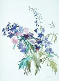 Oskar Kokoschka, Delphinium #68/150