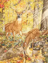 Martin Glen Loates, White Tailed Deer in the Forest, 1986, watercolour on paper