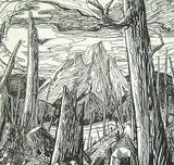 William J.B. Newcombe, Stumps, 1933, ink on paper