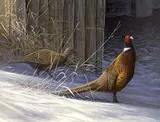 Richard Berg, Barnyard Stroll, acrylic on canvas