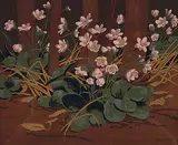 A. J. Casson, Mauve Blossoms