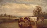 William Vivian Tippett, On the Frome, Near Fishponds, 1886, oil on canvas