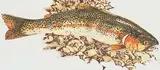 Spawning Run #A.P. by Jack Lee Cowin, 1996, hand coloured etching on paper, sold May 1998