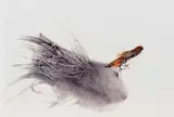 Jack Lee Cowin, Untitled - From Hopper to Sculpins