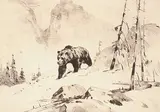 Carl Rungius, Lord of the Canyon