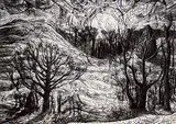 First Night in March 2 #14/20 by Rosemary Elizabeth Kilbourn, wood engraving on paper, sold May 1998