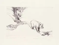 Clarence Tillenius, Two Grizzlies #1 #P.P., etching on paper